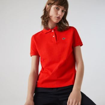 Lacoste 2025 outlet polo